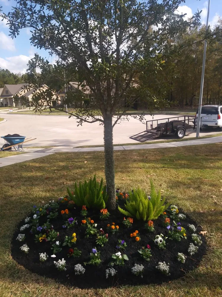 Reliable lawn care service for residential properties in Houston, TX by Olympus Lawn & Pool