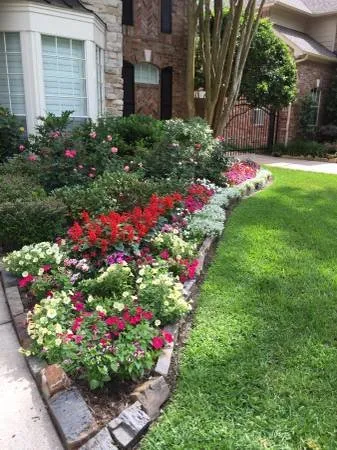 Reliable yard cleanup service with custom design in Houston, TX by Olympus Lawn & Pool