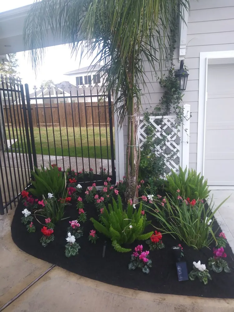 Top-rated garden landscaping in Houston, TX by Olympus Lawn & Pool
