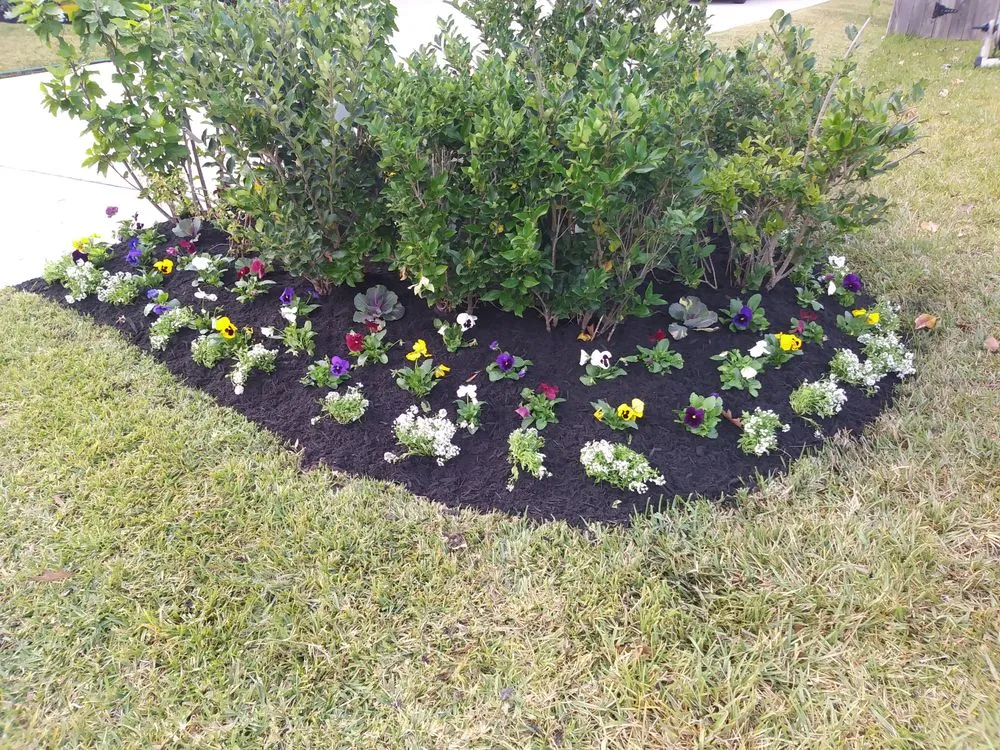 Expert yard maintenance in Houston, TX by Olympus Lawn & Pool