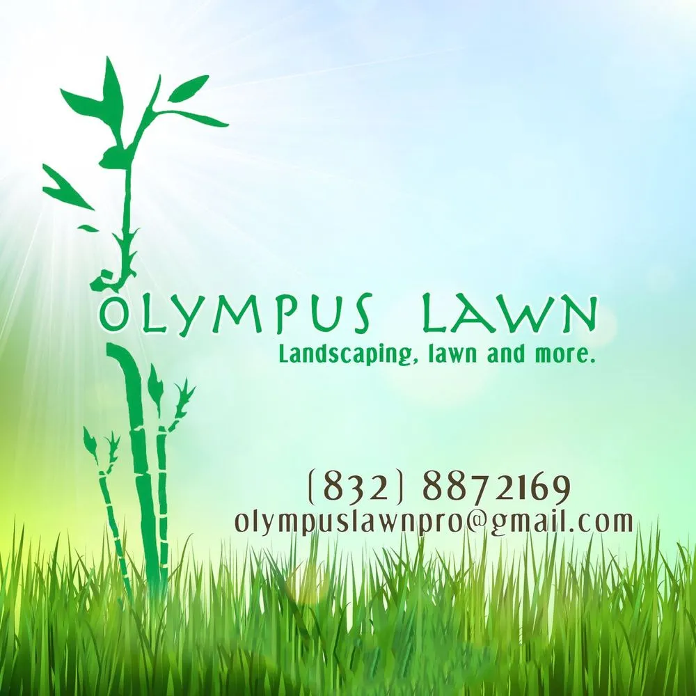Affordable garden landscaping for outdoor upgrades in Houston, TX by Olympus Lawn & Pool