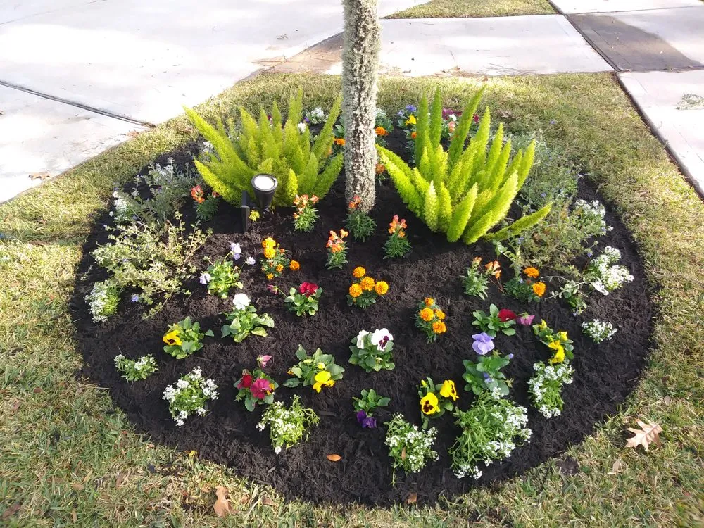 Affordable yard cleanup service for year-round maintenance across Houston, TX - Olympus Lawn & Pool