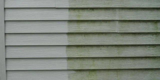 Expert lawn care service in Houston, TX by Olympus Lawn & Pool