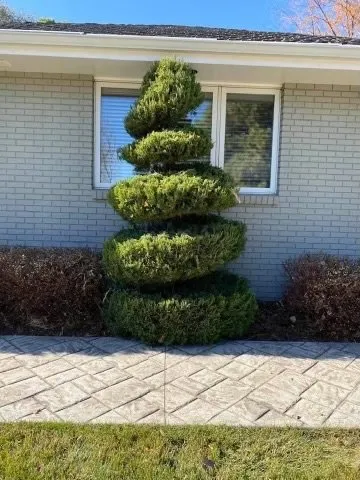 Local outdoor landscaping for beautiful yards in Loveland, CO by Olympus Lawn Care Property Maintenance & Service