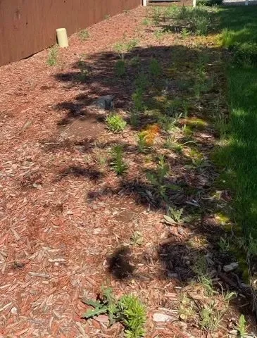 Local residential landscaping in Loveland, CO - Olympus Lawn Care Property Maintenance & Service