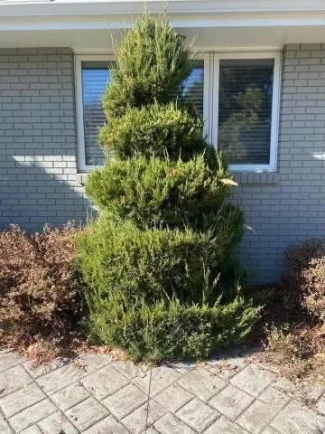 Affordable landscape design in Loveland, CO by Olympus Lawn Care Property Maintenance & Service