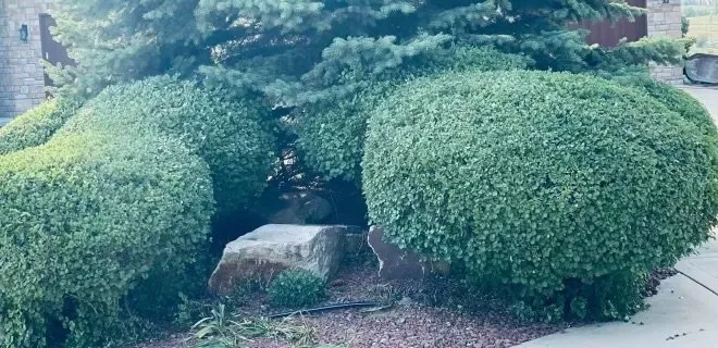 Trusted outdoor landscaping for residential properties in Loveland, CO by Olympus Lawn Care Property Maintenance & Service