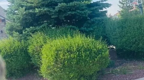 Professional landscape installation for homes across Loveland, CO - Olympus Lawn Care Property Maintenance & Service