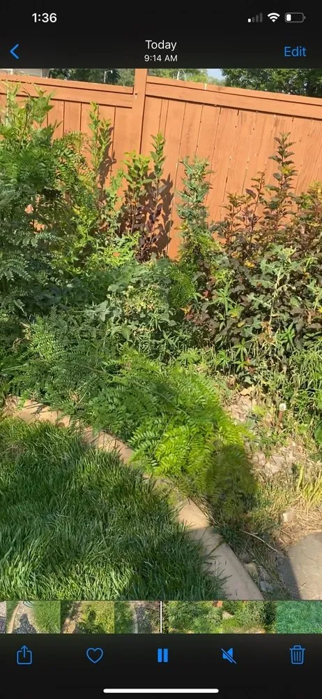 Local landscape installation for outdoor upgrades in Loveland, CO by Olympus Lawn Care Property Maintenance & Service