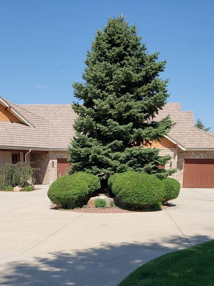 Top-rated landscaping services experts serving Loveland, CO - Olympus Lawn Care Property Maintenance & Service