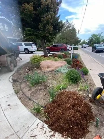 Trusted lawn care service in Loveland, CO by Olympus Lawn Care Property Maintenance & Service