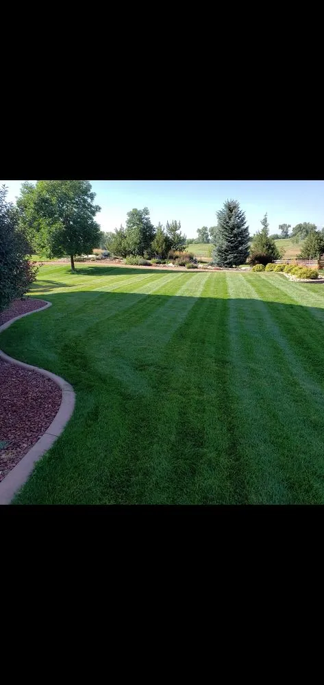 Professional yard cleanup service experts serving Loveland, CO - Olympus Lawn Care Property Maintenance & Service