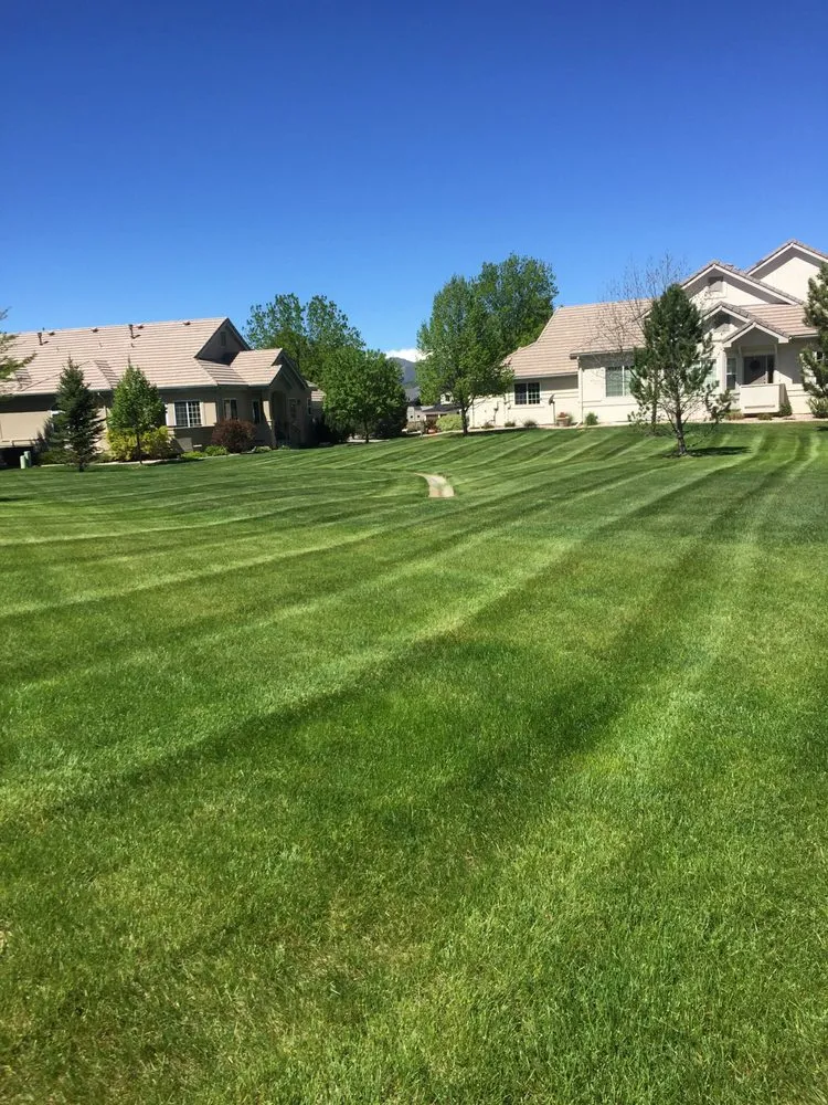 Expert outdoor landscaping for homes in Loveland, CO by Olympus Lawn Care Property Maintenance & Service