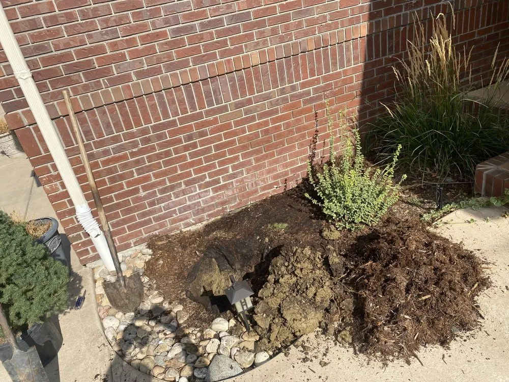 Affordable yard cleanup service for year-round maintenance in Loveland, CO by Olympus Lawn Care Property Maintenance & Service