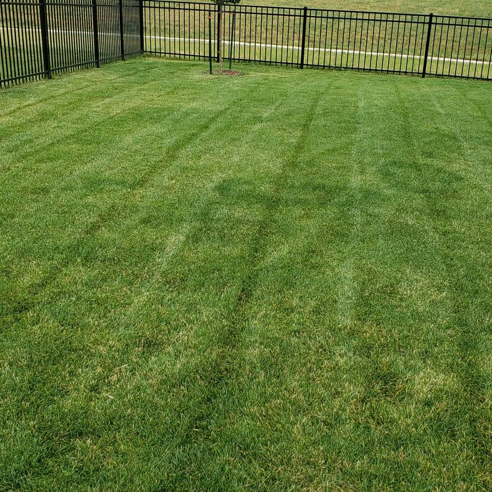 Affordable landscape installation experts serving Loveland, CO - Olympus Lawn Care Property Maintenance & Service