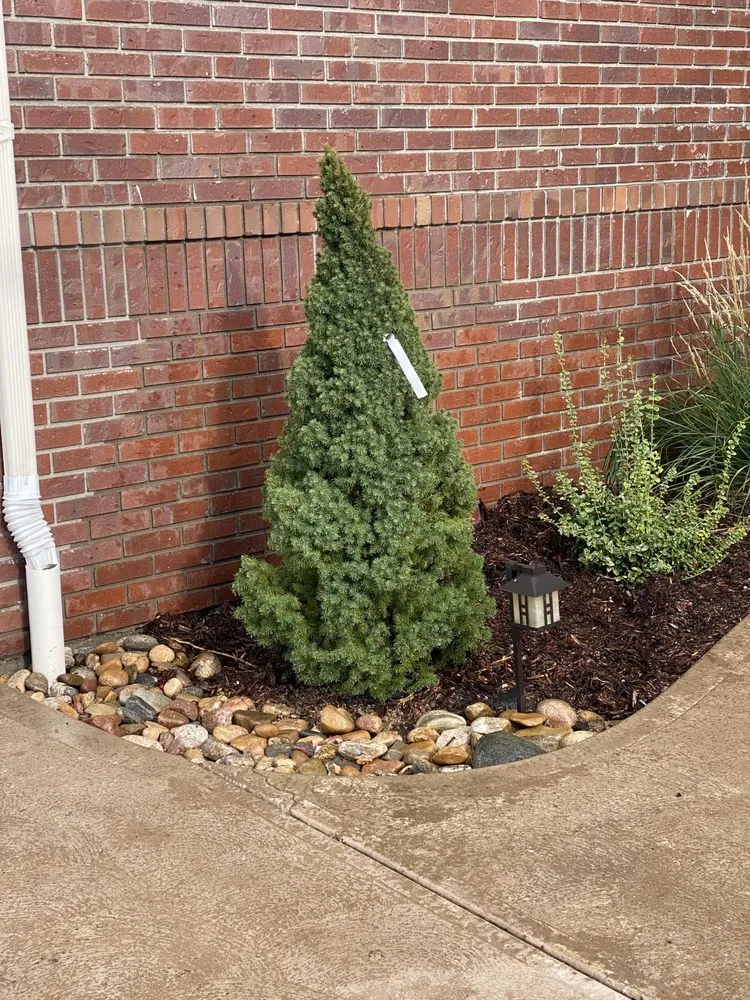 Custom yard cleanup service with custom design across Loveland, CO - Olympus Lawn Care Property Maintenance & Service