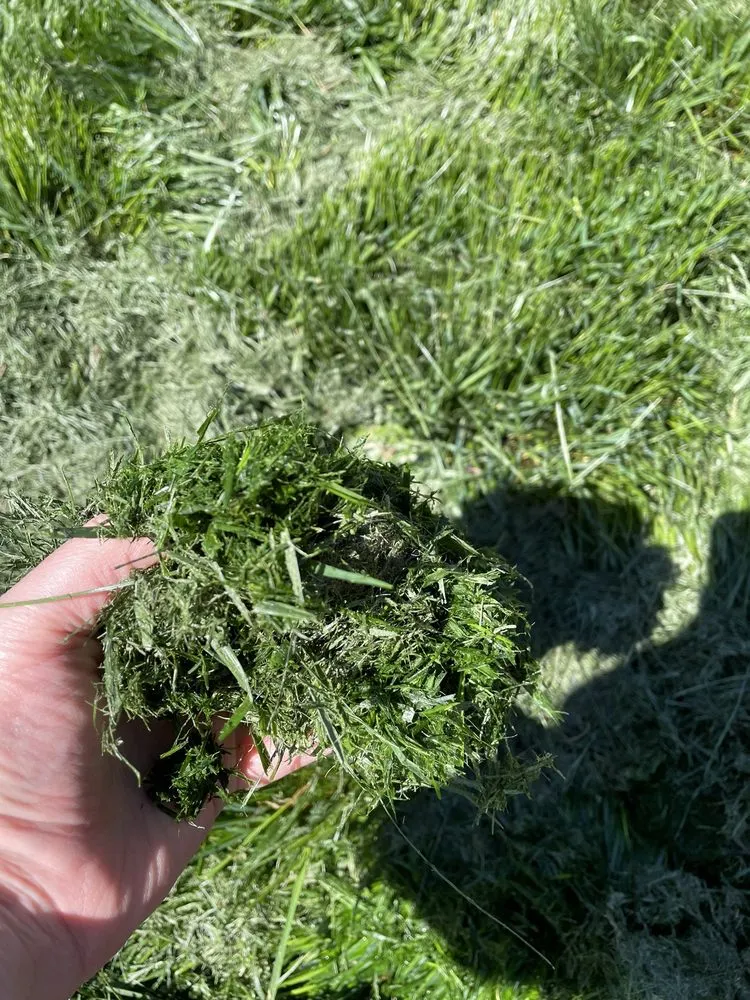 Trusted landscape design near you in Roseville, CA by Olympus Pointe Landscape