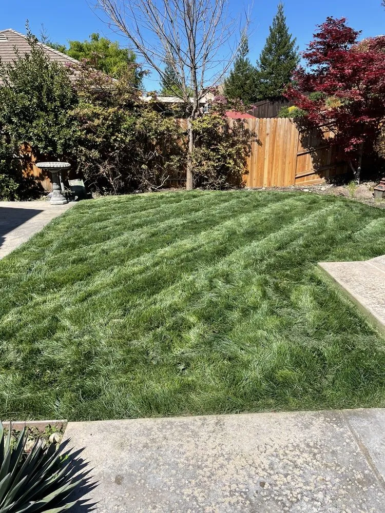 Local outdoor landscaping for residential properties in Roseville, CA by Olympus Pointe Landscape