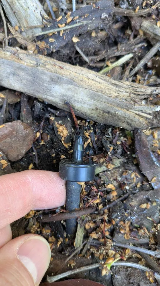 Top-rated landscape installation for year-round maintenance in Roseville, CA by Olympus Pointe Landscape