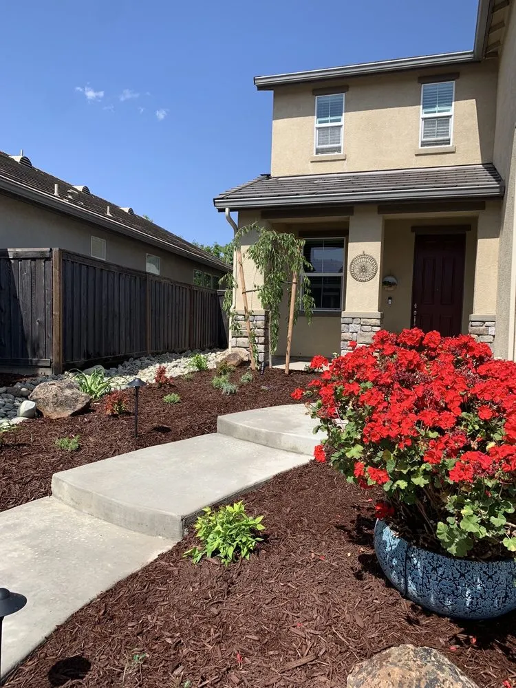 Top-rated yard cleanup service in Roseville, CA - Olympus Pointe Landscape