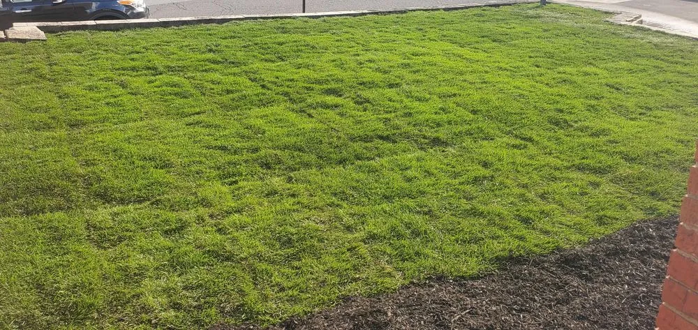 Top-rated landscape design for homes in Ringwood, NJ by O&M Landscape