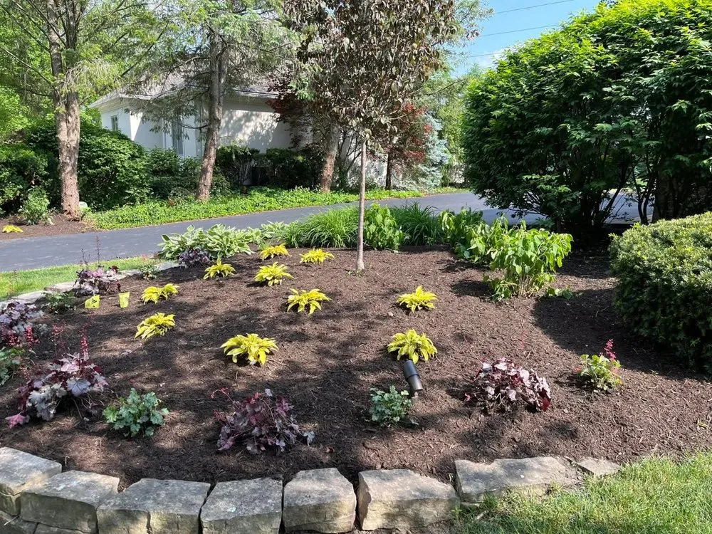 Top-rated yard cleanup service near you in Anderson, IN by OMA Landscaping