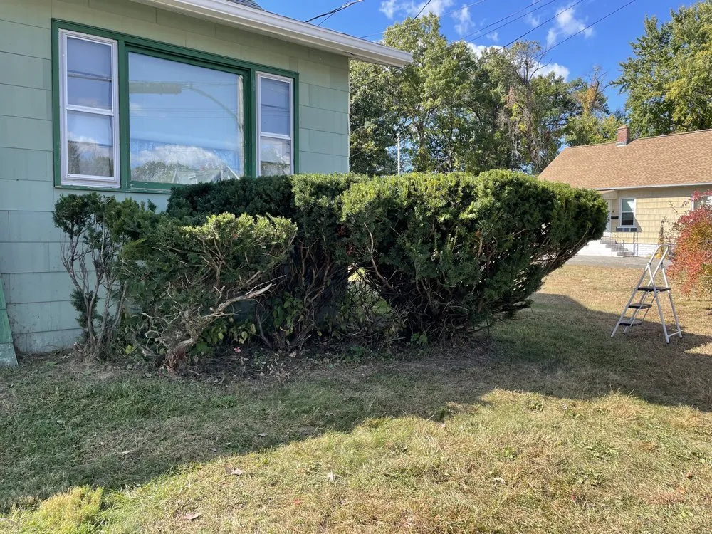 Local yard maintenance in Ludlow, MA - OMA Landscaping