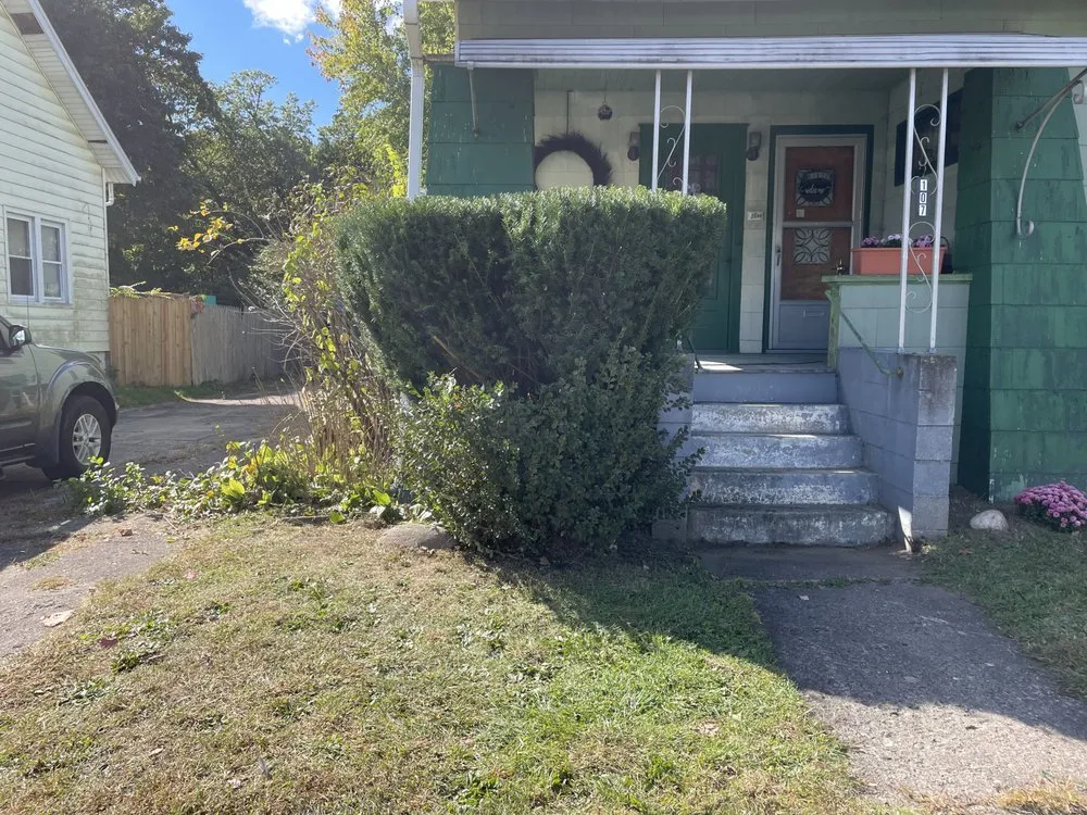 Local yard cleanup service in Ludlow, MA by OMA Landscaping