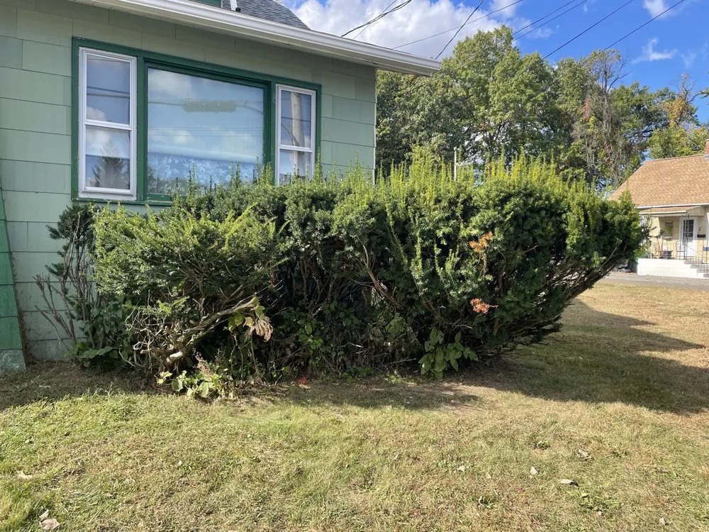 Top-rated yard maintenance in Ludlow, MA by OMA Landscaping