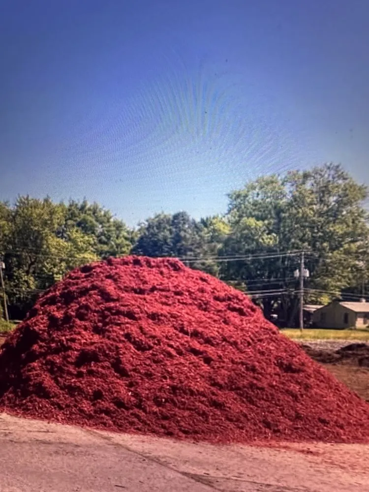 Reliable yard cleanup service in Omaha, NE by Omaha Dirt and Rock