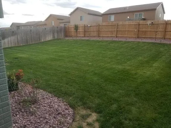 Trusted yard cleanup service for outdoor upgrades in Omaha, NE by Omaha Golden Gate