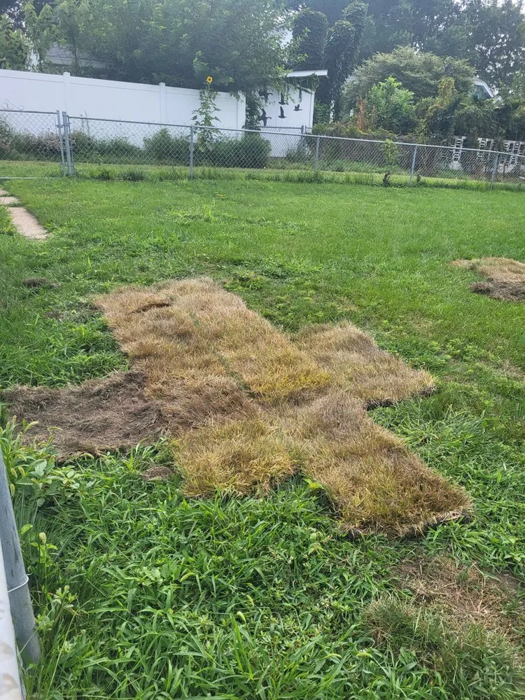 Expert garden landscaping in Omaha, NE - Omaha Lawnscaping Solutions