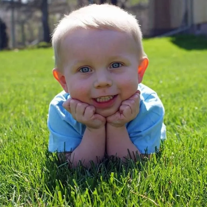 Professional landscaping services for beautiful yards in Omaha, NE by Omaha Organics