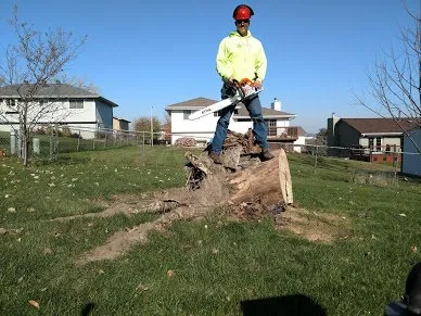 Top-rated lawn care service in Omaha, NE by Omaha Stump Guy
