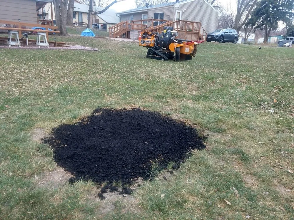 Trusted yard maintenance for residential properties in Omaha, NE by Omaha Stump Guy