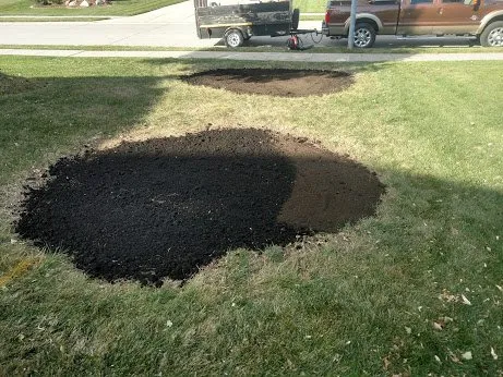 Local yard cleanup service for year-round maintenance across Omaha, NE - Omaha Stump Guy