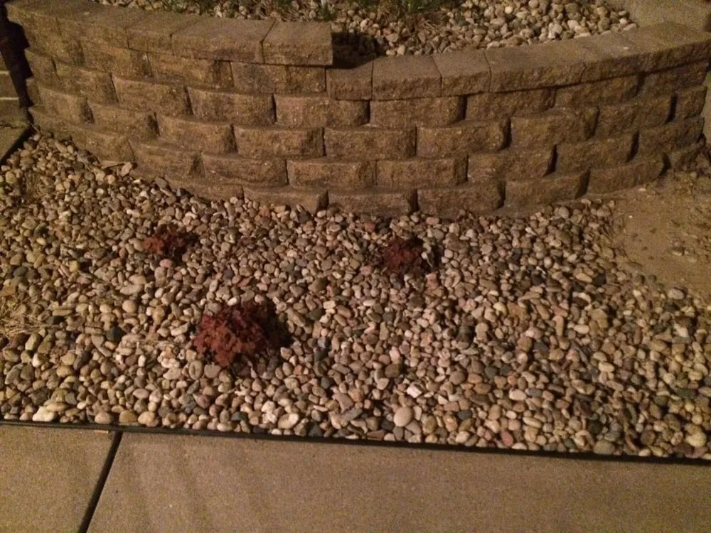 Trusted yard maintenance in Omaha, NE - Omaha Turf Management