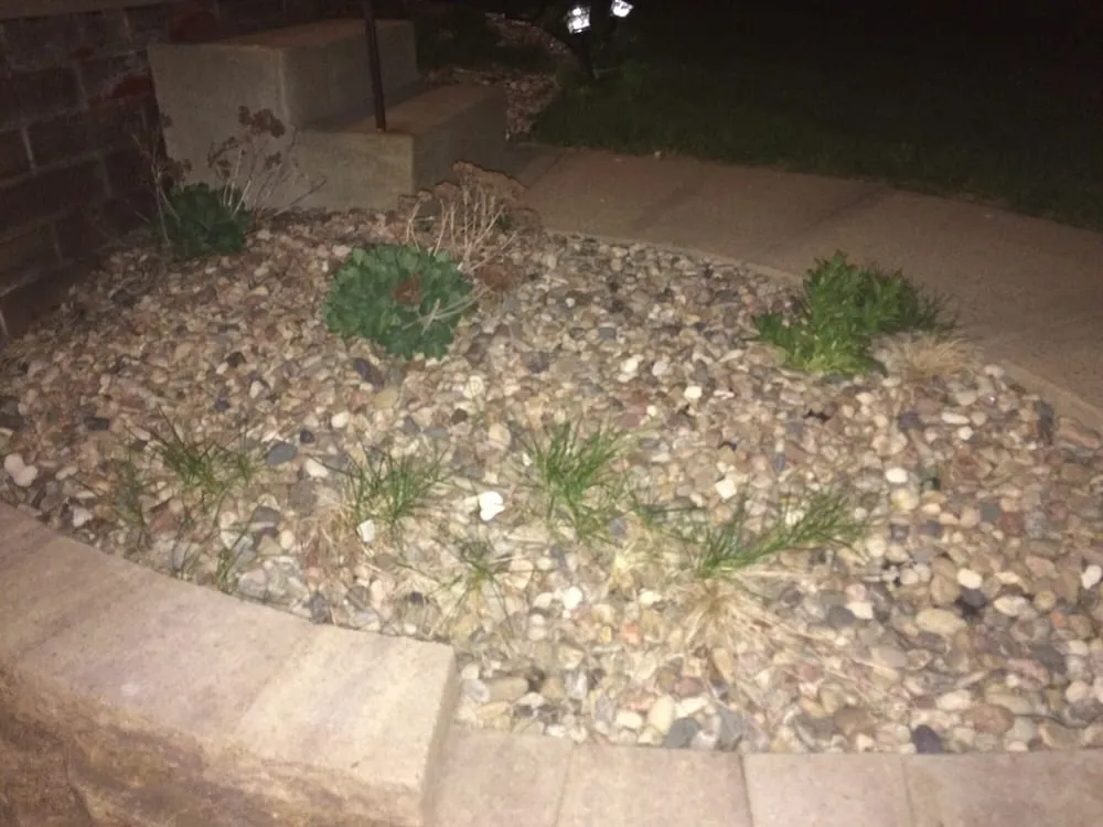 Custom landscape design in Omaha, NE by Omaha Turf Management