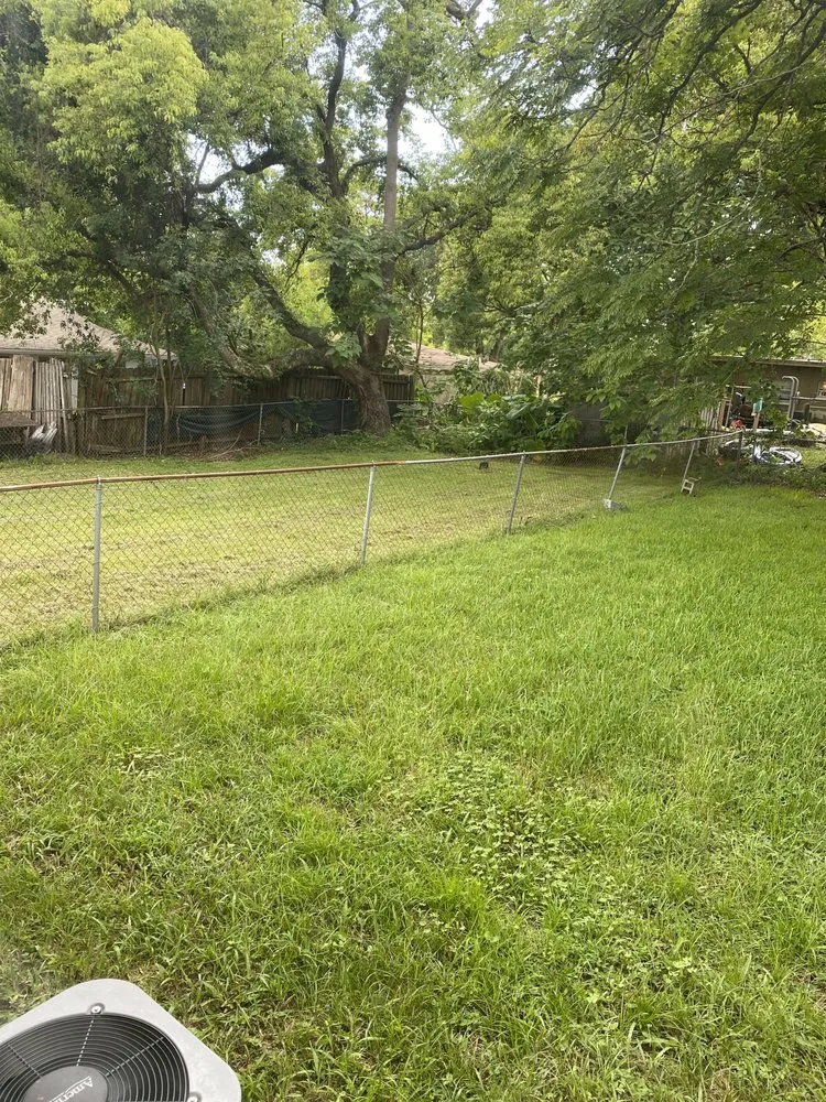 Custom yard cleanup service experts serving Orlando, FL - O'malley Landscape