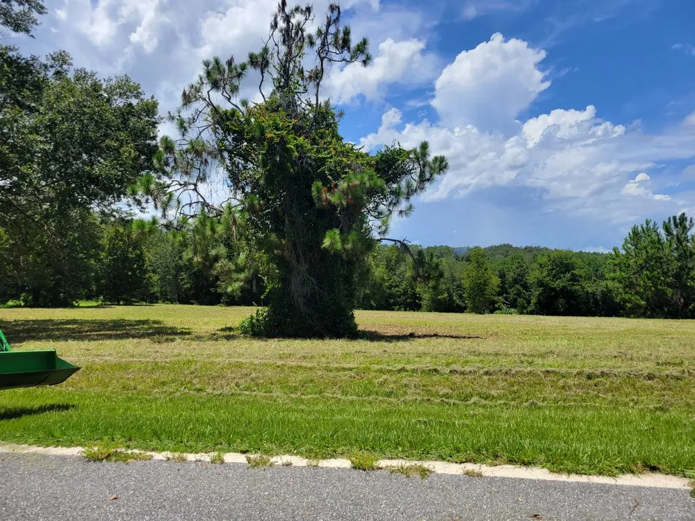 Trusted garden landscaping in Belleview, FL - O'Malley's Bush Hogging and Land Maintenance