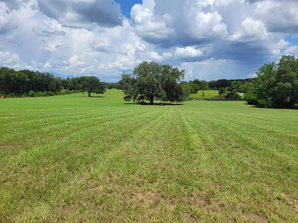 Expert outdoor landscaping for residential properties across Belleview, FL - O'Malley's Bush Hogging and Land Maintenance
