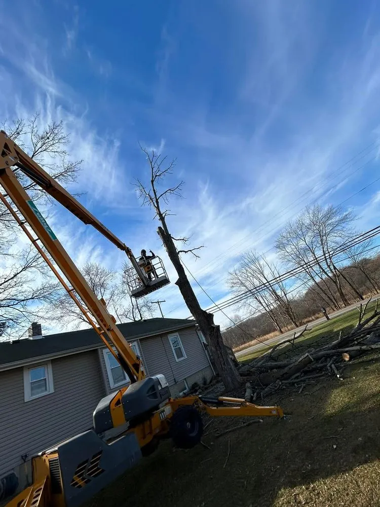 Reliable residential landscaping in Ravenna, OH by O’Malley’s Tree & Services
