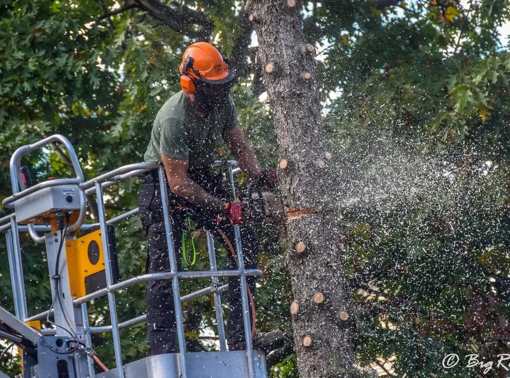 Affordable lawn mowing service in Ravenna, OH - O’Malley’s Tree & Services