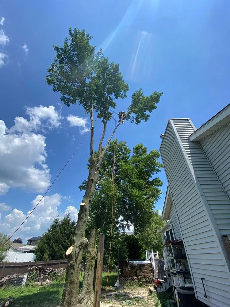 Local landscaping services near you across Ravenna, OH - O’Malley’s Tree & Services