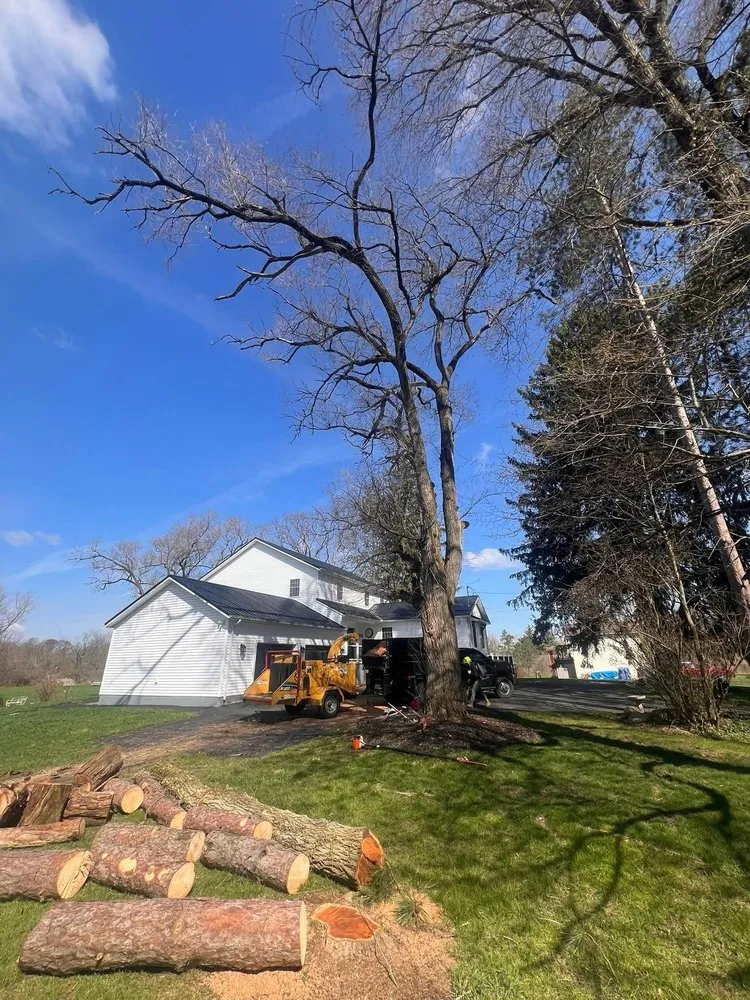 Reliable lawn care service experts serving Ravenna, OH - O’Malley’s Tree & Services