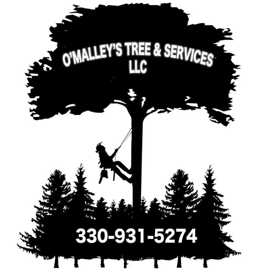 Custom landscape installation with custom design in Ravenna, OH by O’Malley’s Tree & Services