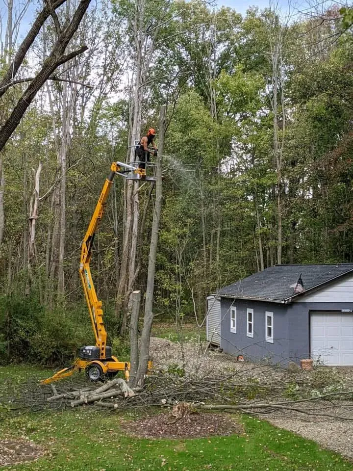 Trusted landscape installation in Ravenna, OH by O’Malley’s Tree & Services