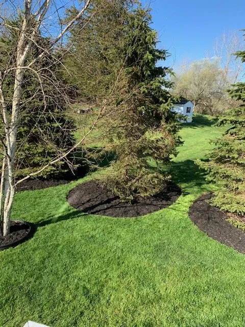 Reliable lawn care service in Norwalk, CT - Oman's Garden Center