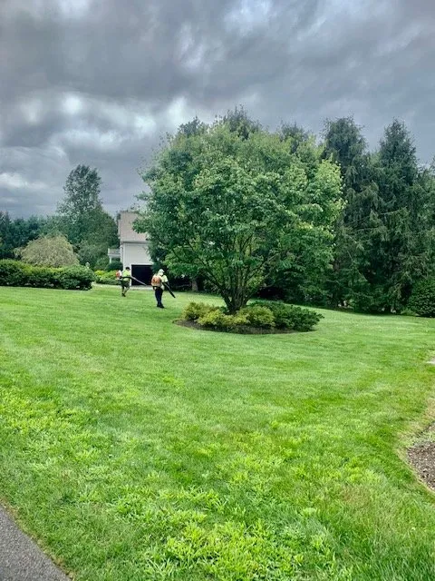 Custom outdoor landscaping in Norwalk, CT by Oman's Garden Center