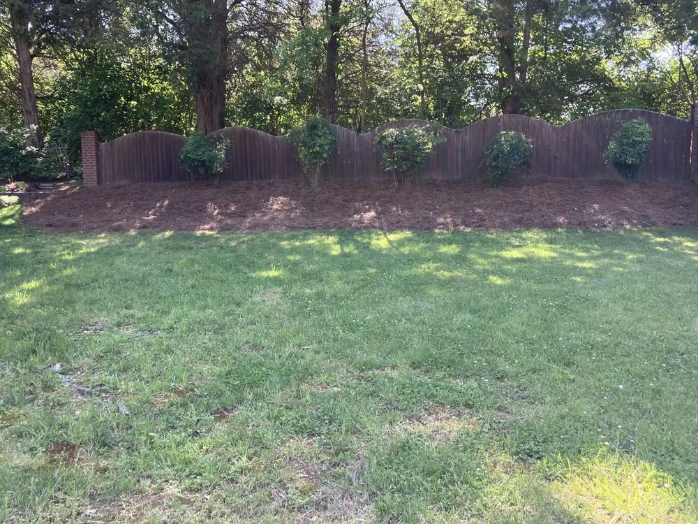 Local landscape installation for year-round maintenance in Clarksville, TN by Omar & Sons Landscaping
